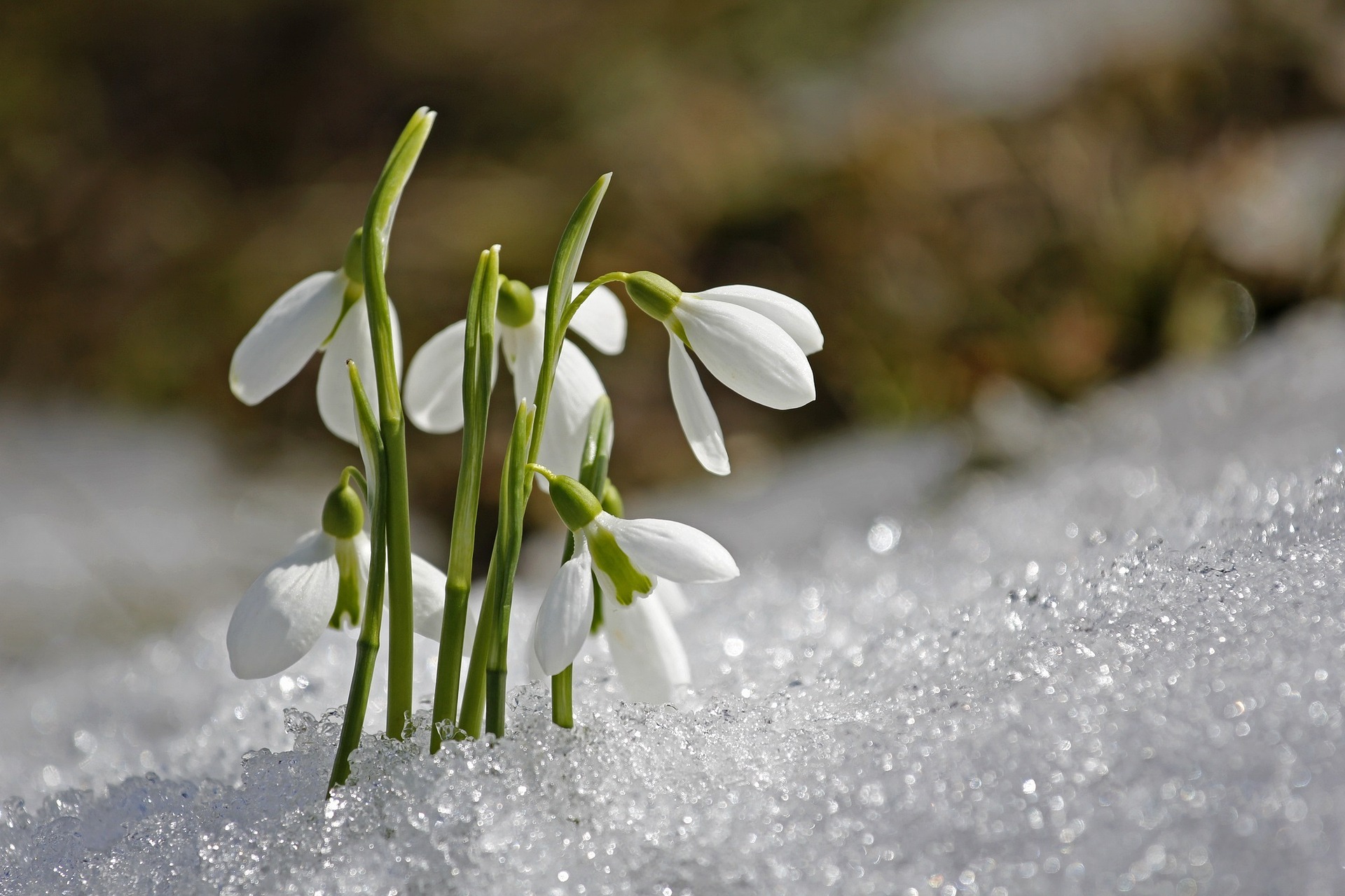 Fortification of the Muslim through Remembrance and Supplication from the Quran and Sunnah