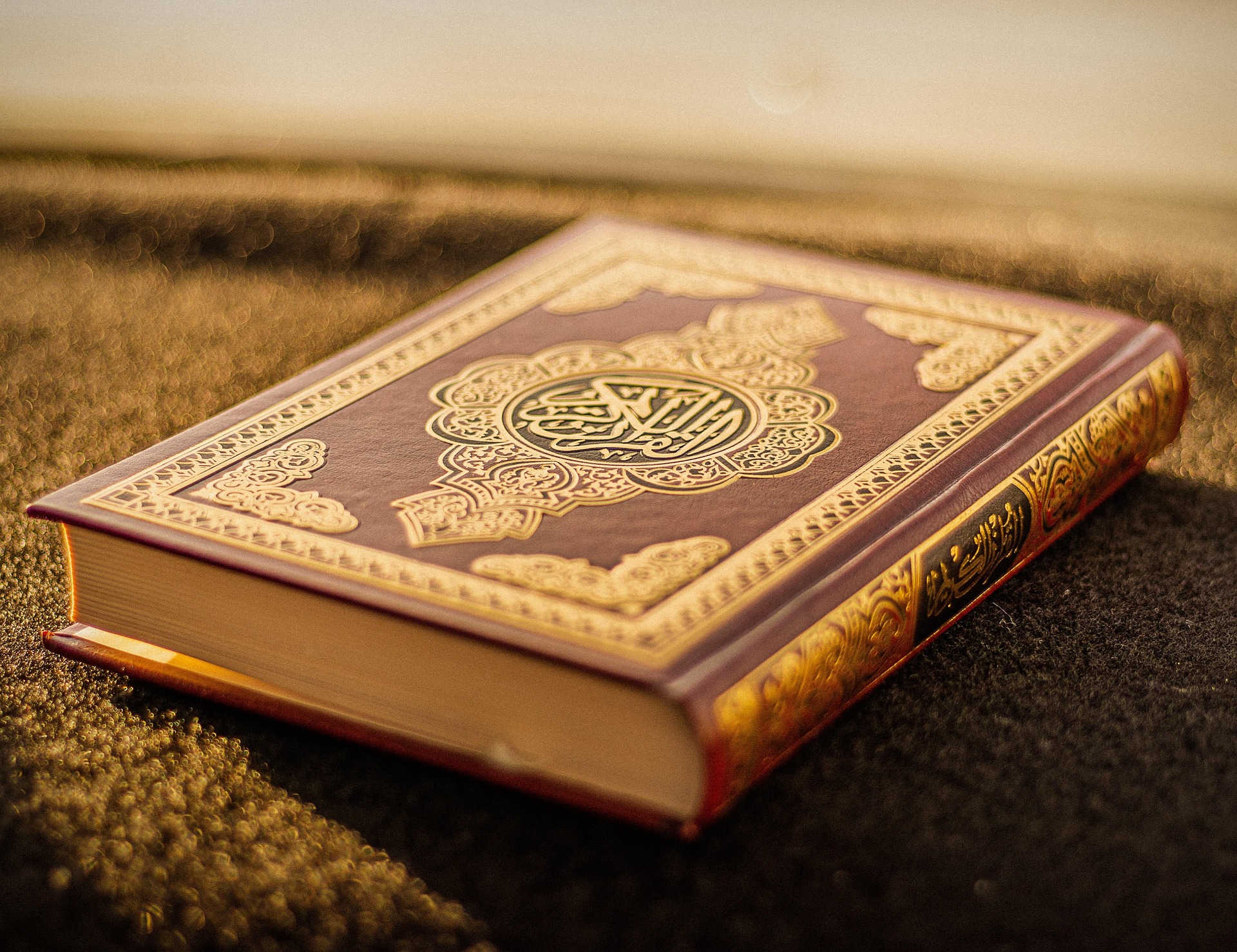 The Noble Quran